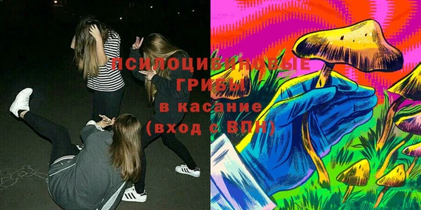 прущие грибы Алексеевка