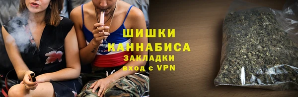 гашик Костерёво
