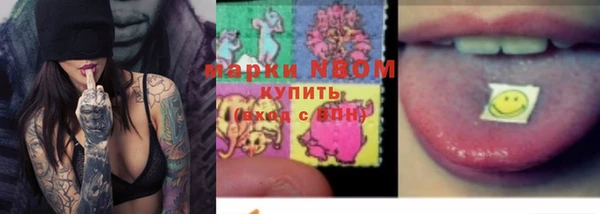 прущие грибы Алексеевка
