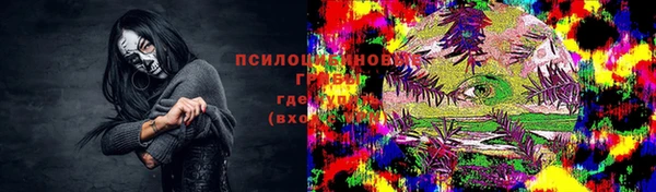 прущие грибы Алексеевка